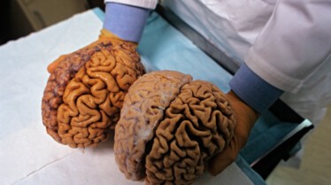 Brain Games  (3).JPG