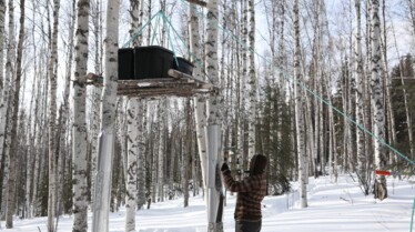 Alaska Nouvelle vie (10).jpg
