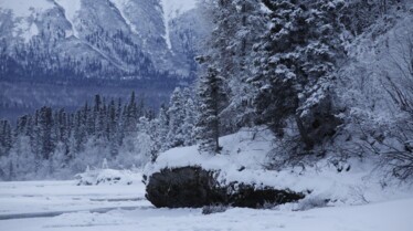 Alaska Nouvelle vie (6).jpg