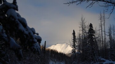 Alaska Nouvelle vie (8).jpg
