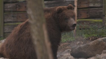 Une saison au zoo saison 8 (11).jpg