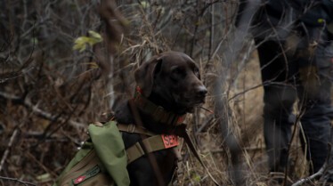 A l'épreuve de la nature (5).jpg