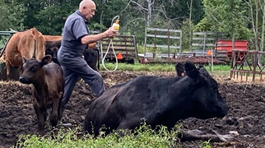 L'incroyable Dr Pol  (3).jpg