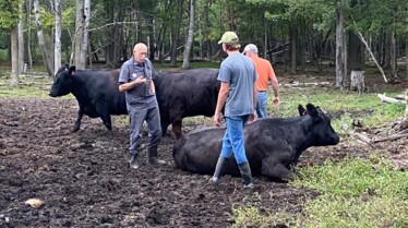 L'incroyable Dr Pol  (2).jpg