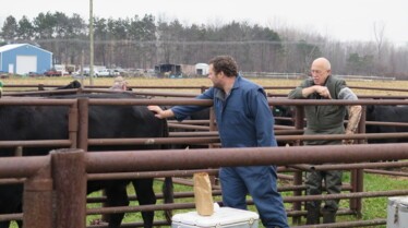 L'incroyable Dr Pol  (5).jpg