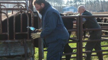 L'incroyable Dr Pol (4).jpg
