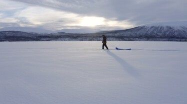 Alaska  Nouvelle vie  (1).JPG