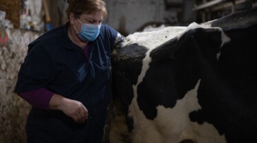 Incroyable Dr Pol (2).jpg