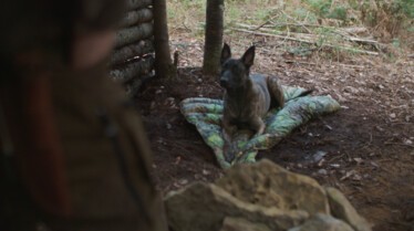 Une vie de chien (17).JPG