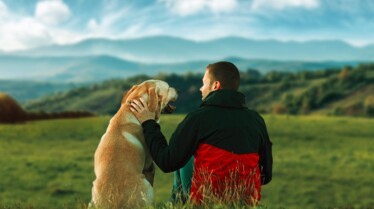 Une vie de chien (21).jpg