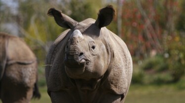 Une saison au zoo saison 9 (3).jpg