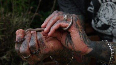 Snakes in The City (1).jpg