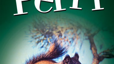 Perri_FRP_P67_2000x3000_partner.png