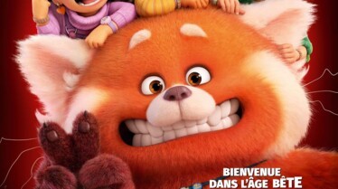 ALERTE ROUGE_120x176_DISNEY+ 4_page-0001.jpg