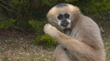 Une saison au zoo saison 8 (23).jpg