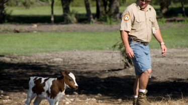 Les cowboys des marais (1).JPG