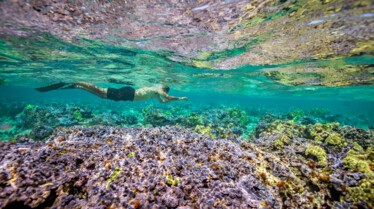 SeaOfHope-AmericasUnderwaterTreasures_31_ce2270563b975787d7eea75ab220ae2dec7f7148.jpg