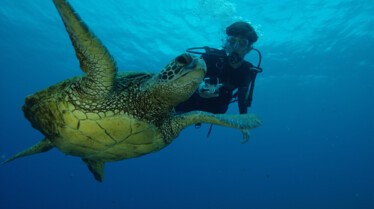 SeaOfHope-AmericasUnderwaterTreasures_13_9a9bdb0f7a83dac934d5d25a31c3889de41427a3.jpg