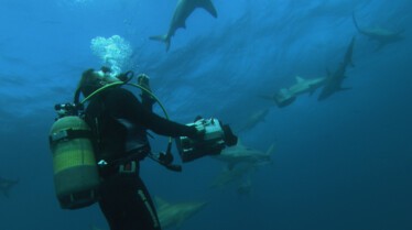 Cameraman en danger (3).JPG