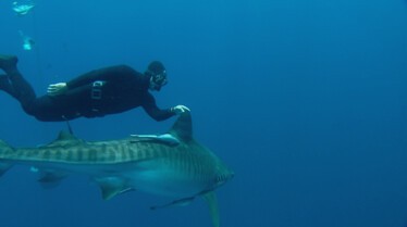 Cameraman en danger (5).JPG