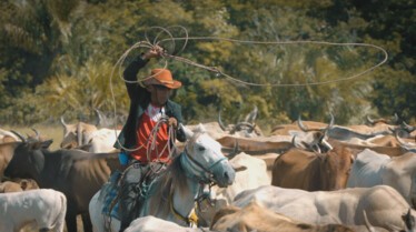 Epreuve tribu ep2 (3).JPG