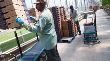 Food Factory (8).jpg