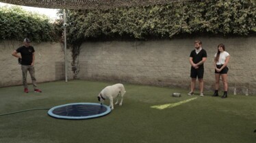 Dog Impossible (5).jpg