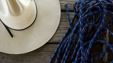Les cowsboys des marais (2).JPG