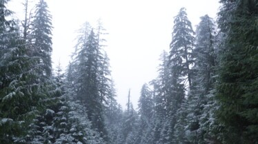 Alaska Seuls au monde saison 4 (16).jpg