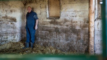 Incroyable Dr Pol (1).jpg