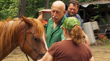 Incroyable Dr Pol (3).JPG