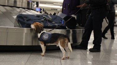 Ultimate Airport Usa (1).jpg