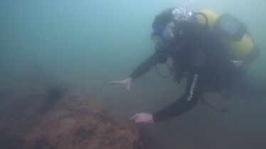 Tresors sous les mers (1).jpg