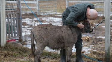 Incroyable Dr Pol (5).jpg