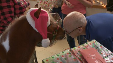 Incroyable Dr Pol (6).jpg