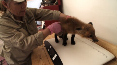 Le refuge du bonheur (6).JPG