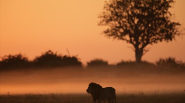 Relentless Enemies (3).jpg