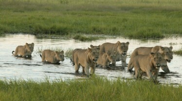 Ultimate Enemies (3).jpg