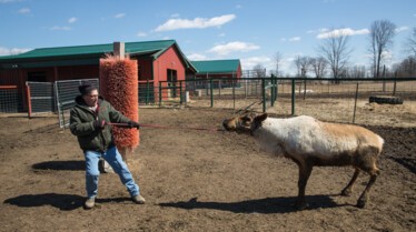 Incroyable dr Pol (1).jpg