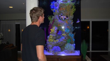 Rois des aquariums (3).jpg