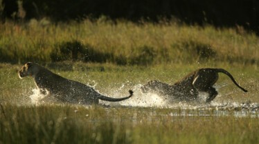 Ultimate Enemies (2).jpg