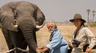 BigCatOdyssey (1).JPG