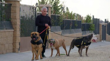 Cesar Millan (1).jpg