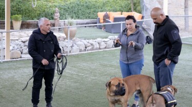 Cesar Millan (2).jpg