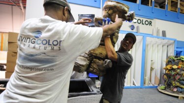 Les rois des aquariums (6).jpg