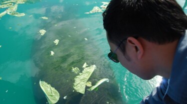 Les rois des aquariums (7).jpg