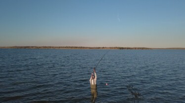 Fish My City (3).jpg