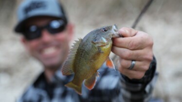 Fish My City (4).jpg