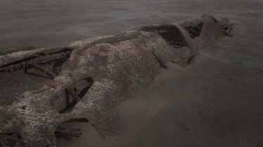 Tresors sous les mers (2).jpg