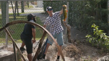 Fish My City (5).jpg